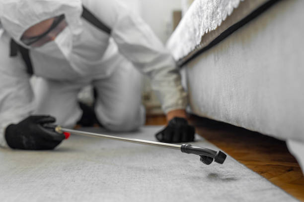 Professional Ant Control technician working in Helena, OK